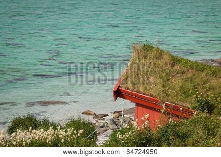 Red House By The See In Lofotn Islands