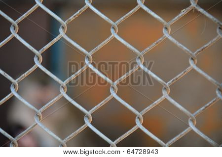 Metal Mesh