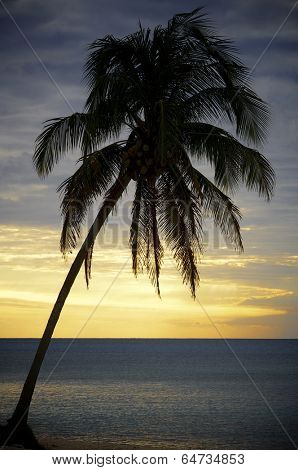 sunset at the beach tropical Maria la Gorda, Guanahacabibes Peninsula in Cuba