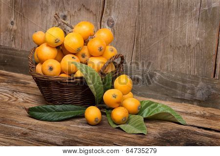 Fruits Of Loquat Tree
