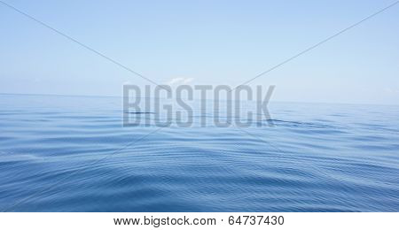 into the blue