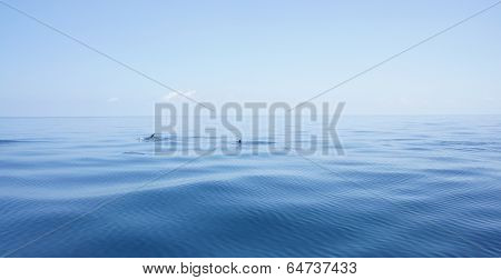 into the blue