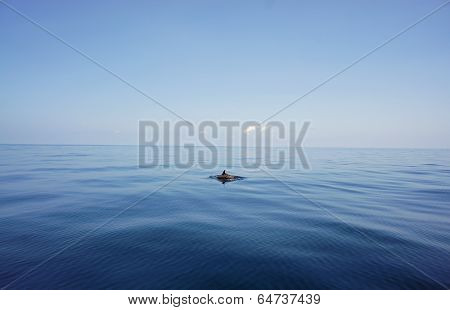 into the blue
