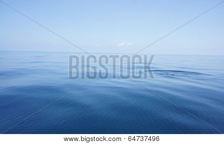 into the blue