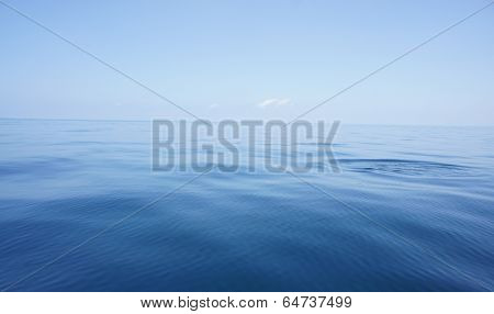 into the blue