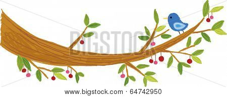 The view of bird on the bough 