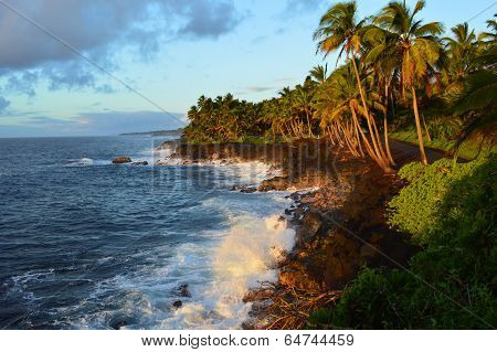 Rocky Beach in Puna