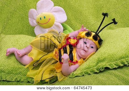 A small child in a fancy dress bees on a green background