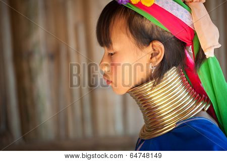 MAE HONG SON, CHIANG MAI, THAILAND - DEC 4, 2013: Unidentified Karen Long Neck girl in traditional hill tribe village also known as Kayan indigenous  ethnic group. Famous tourist travel destination. 