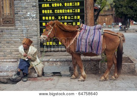 Horse Waiting Tourists In Shuhe Ancient Town.