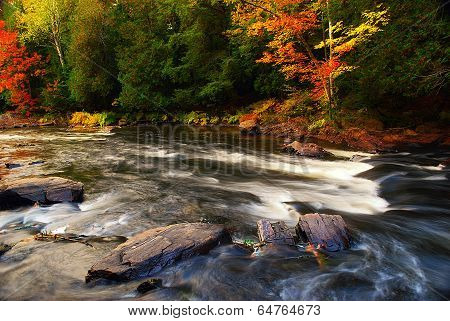 Autumn River Background