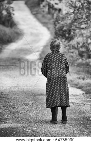 The Long Road