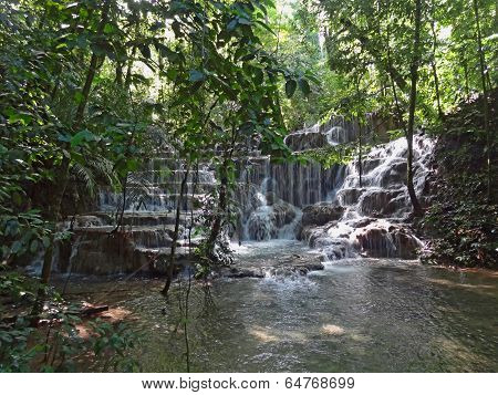 Jungle Scenery