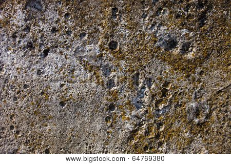 Grey Concrete Surface