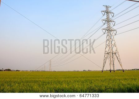 High Voltage Pole In A Cornfield , Thailand
