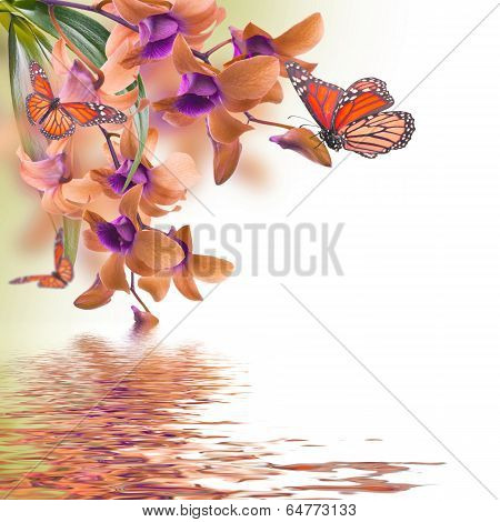 Floral background of tropical orchids and  butterfly