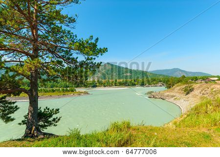 Turbid Water Of The Mountain River Katun In Altay Edge