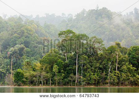 Dense tropical forest in the Chiew Lan Lake, south Thailand