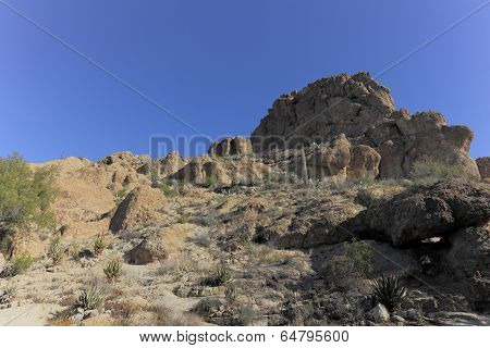 Sonoran Upland Natural Area