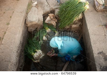 Woman Wash Vegetables In Canal.