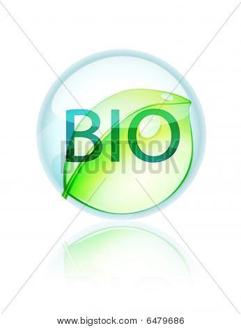 Bio