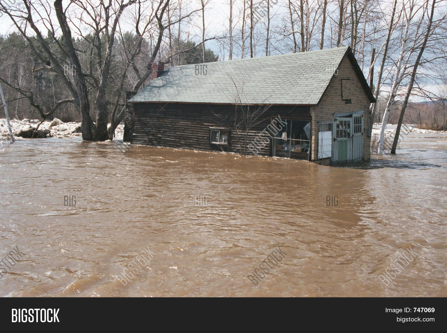 Image Preview