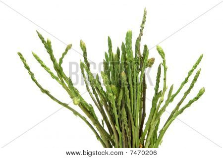 Green Asparagus