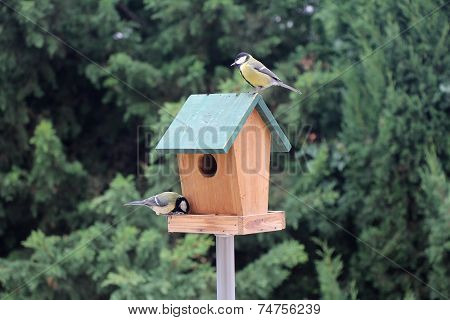 Two Birds Booths