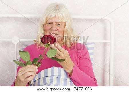 Happy Female In Bed With Rose