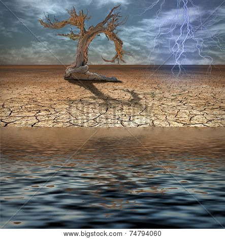 Desert Deluge