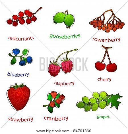 fruit set with texture