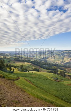 Vertical landscape shot of Ethiopian farms