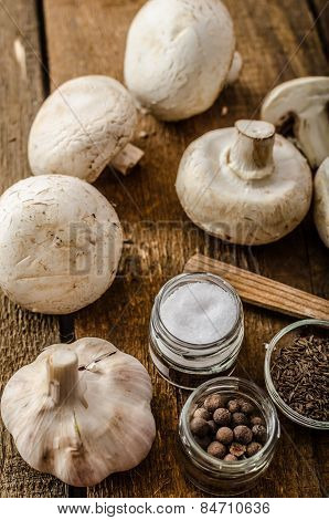 Bio Garlic, Spices And Wild Mushrooms From The Home Garden