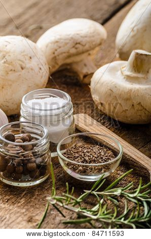 Bio Garlic, Spices And Wild Mushrooms From The Home Garden
