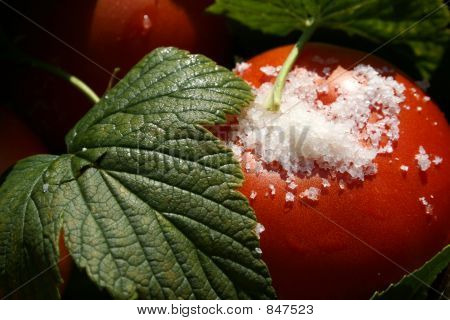 tomates con hojas de grosella y sal macro