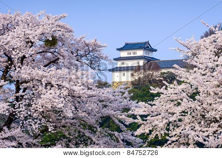 Hikone, Japan at Hikone Castle in the spring.