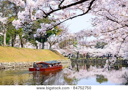 Hikone, Japan moat around Hikone Castle in the spring.