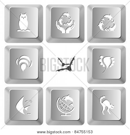 Animal set. Vector set computer keys.