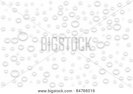 Water drops on white background