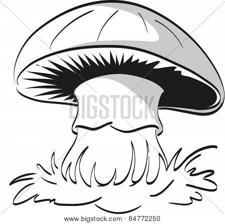 Mushroom.
