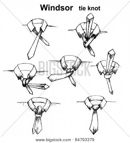 Vector tie and knot instruction, Windsor tie knot