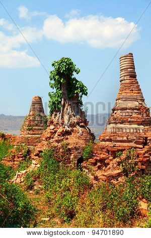 Sagar, Lake Inle, Myanmar