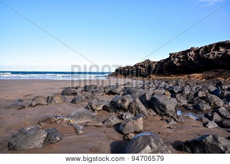 Dry Lava Coast Beach