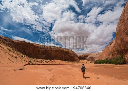 Hiker Backpacker Brimstone Gulch Dry Fork Narrows Of Coyote