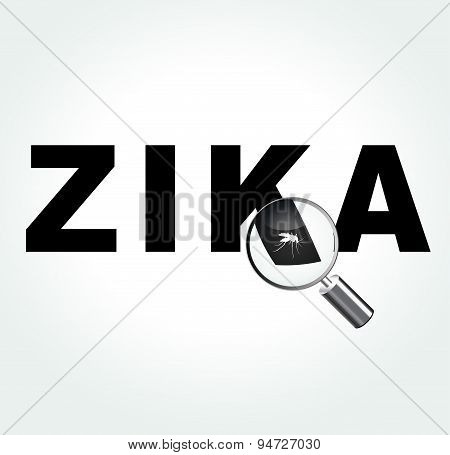 Mosquito On Zika Virus