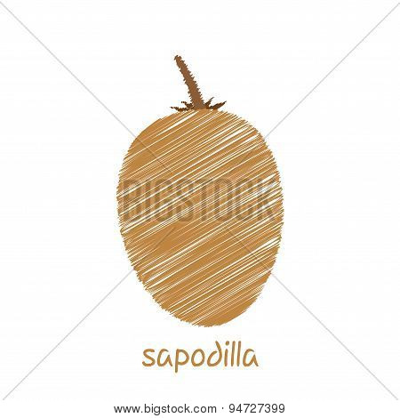 sapodilla fruit design