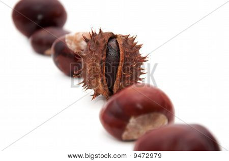 Conker