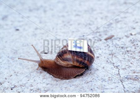 Picture of Snail with with symbols of money on a shell