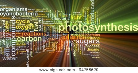Background concept wordcloud illustration of photosynthesis glowing light
