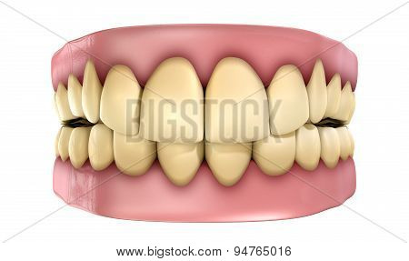 Teeth Set Yellow Isolated